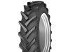 16.9-26 Cultor AS-Agri 10 - діагональна шина