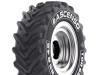 480/65R24 Ascenso TDR 650 - радіальна шина